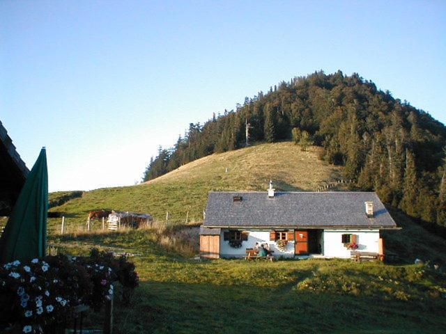 Appartements Ferienwohnungen Alpenblick Faistenau Exteriör bild