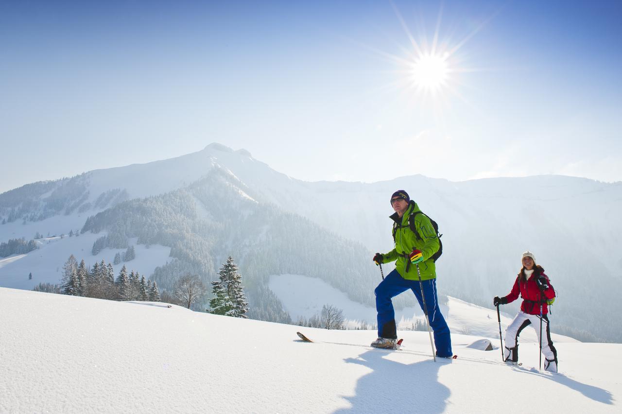 Appartements Ferienwohnungen Alpenblick Faistenau Exteriör bild