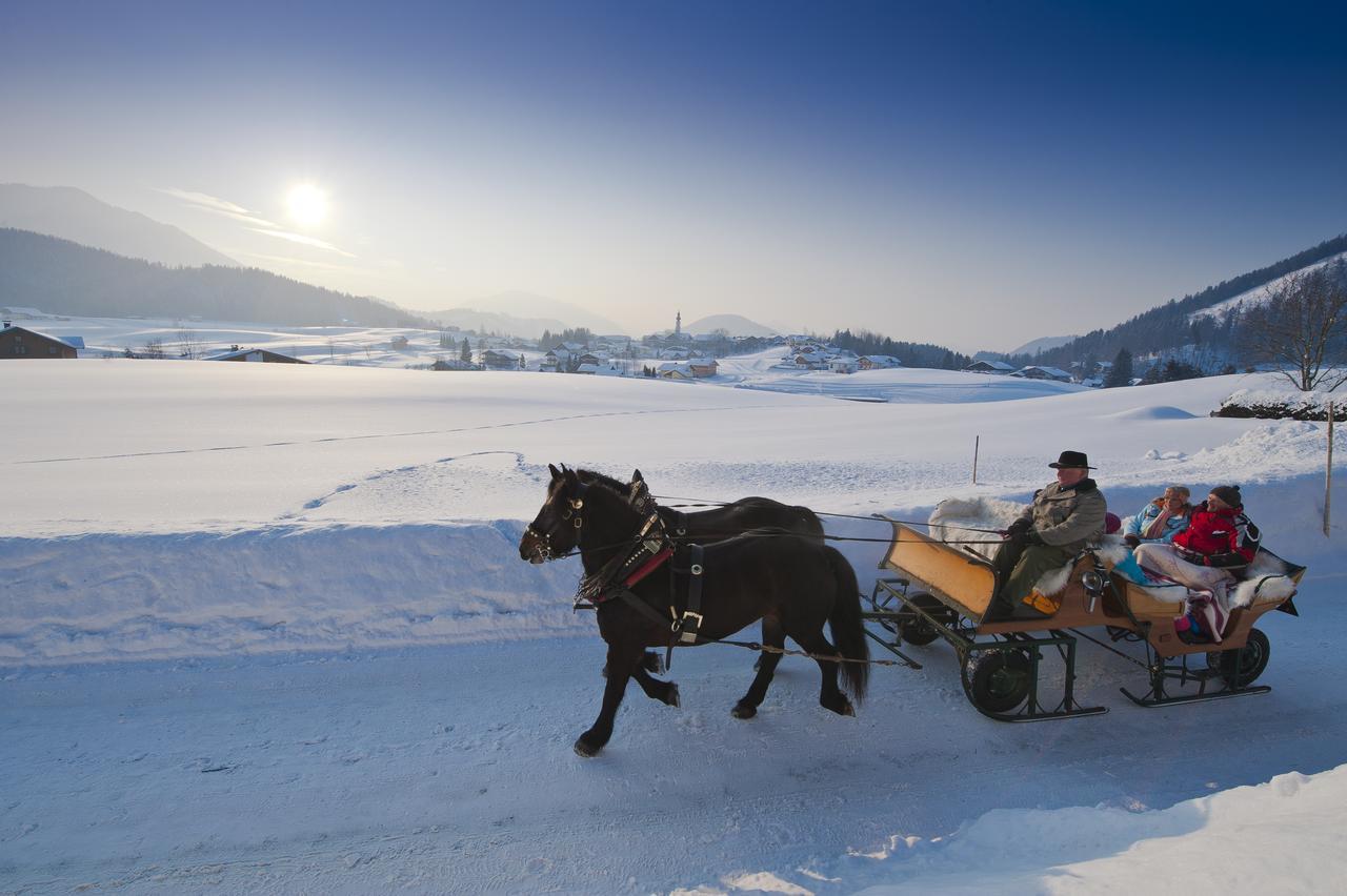 Appartements Ferienwohnungen Alpenblick Faistenau Exteriör bild