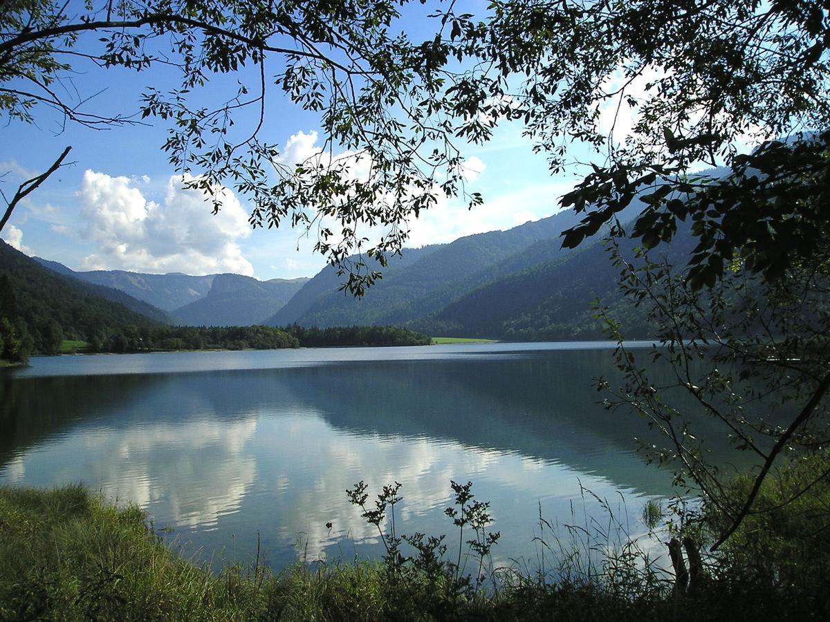 Appartements Ferienwohnungen Alpenblick Faistenau Exteriör bild